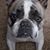 Debra Roddy Hess's profile image