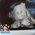 Donna Pierce's profile image