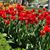 Marilyn Schmitz Ralls's profile image
