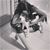 Cecilia Gambetta's profile image