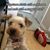 Zulema Ferreiro's profile image