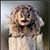 Shelley Albright's profile image