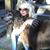 Laura Meryl Herring's profile image
