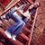 Tammatha Lorene's profile image