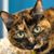 Maureen Schlimgen's profile image