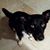 Yvette Farris's profile image