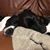 Laura Housh's profile image