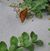 Chris Hardman Chappe's profile image