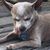 Cheryl Bulifant's profile image