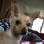 Karen N Chano Tonche's profile image