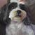 Diana Porath's profile image