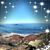 Anne Lufrano Varner's profile image