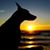 Tara Lea Adair's profile image