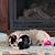 Jane Grace Murrey Steffey's profile image