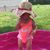 Ashlee Chandler's profile image