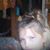 Nevaeh Jones's profile image
