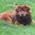 Julie Smerling's profile image