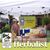Karen Spillane's profile image