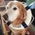 Andrew Bauermeister's profile image