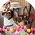 Becky Marshall's profile image