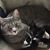 Cynthia Smith's profile image