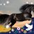Julie Genova's profile image