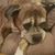 Joni Diede's profile image