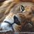 Shirley Fox Smith's profile image