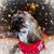 Bill Haney's profile image
