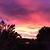 Noura Fawzi's profile image
