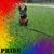 Jerry El-rohi Savage's profile image