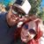 Stephanie Ann McCoy's profile image