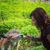 Laurie Vesalo's profile image