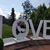 Joyce Reish Landreth's profile image