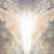Deb Aughenbaugh's profile image