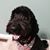Jody Ann's profile image