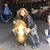 Livia Garcia's profile image