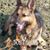 Linda Weaver's profile image