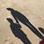 Sunshine De Lucia's profile image
