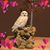 Jackie Frost's profile image