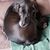 Dez Weigand's profile image