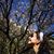 Wendy Lobaina Bernal's profile image
