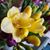 Sarah Polom Dufault's profile image