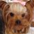 Jenny Powell Pair's profile image
