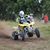 Michael Perrino's profile image