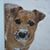 Tricia Langner's profile image