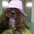 Linda Shuler Gann's profile image