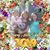 Linda Davis's profile image