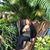 Patricia Viquelia's profile image