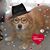 Bridget Schaaf's profile image